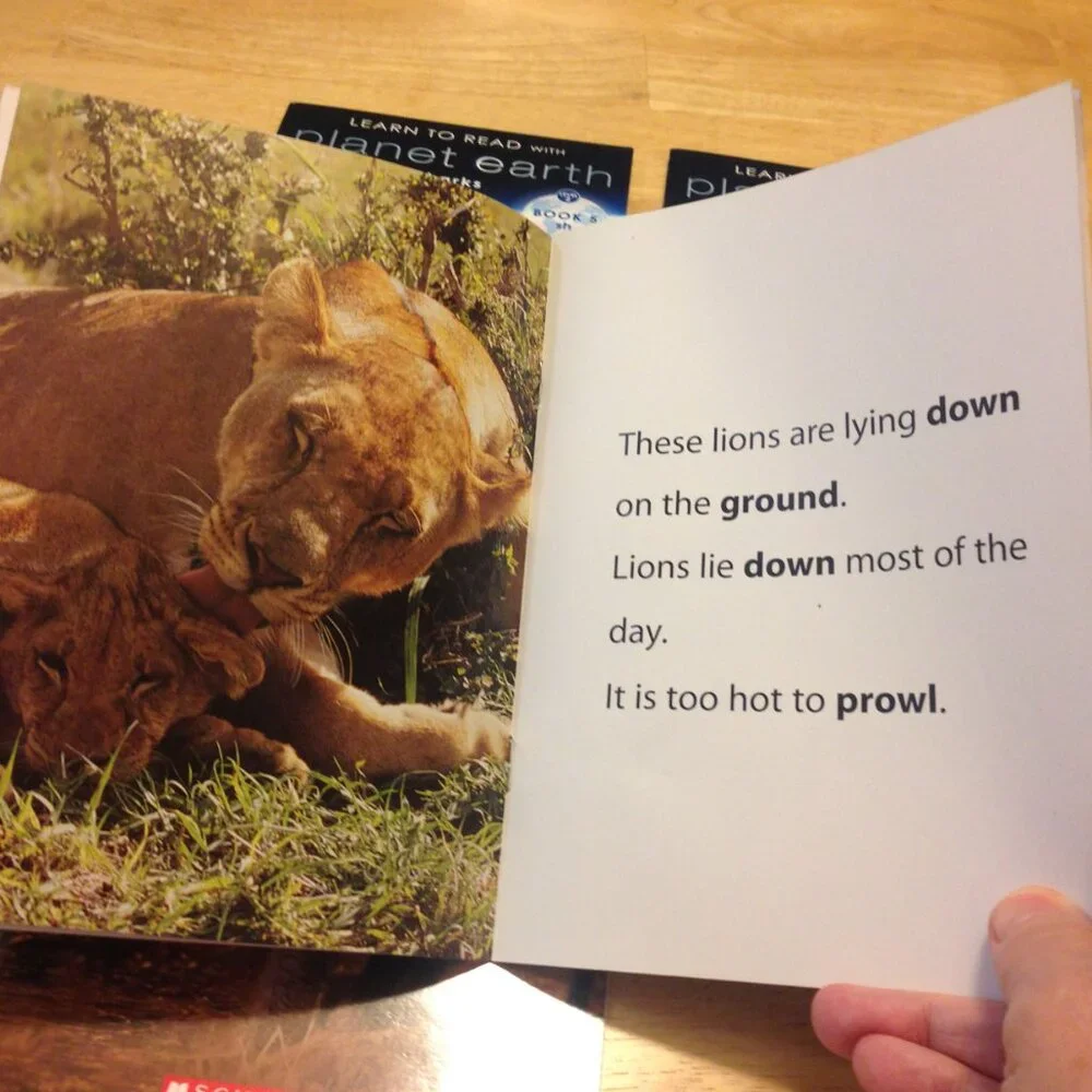 Scholastic want these